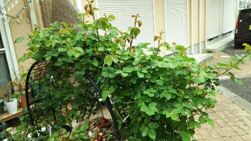rblog-20180408004709-05.jpg