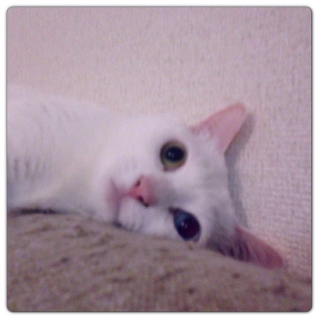 rblog-20130604015914-01.jpg