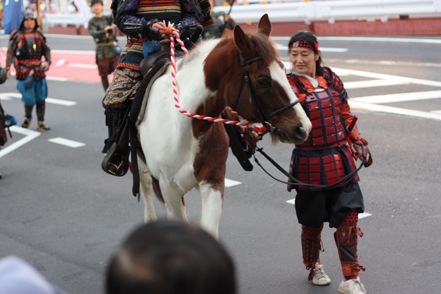 IMG_0086_900x600