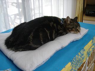 画像 076.jpg