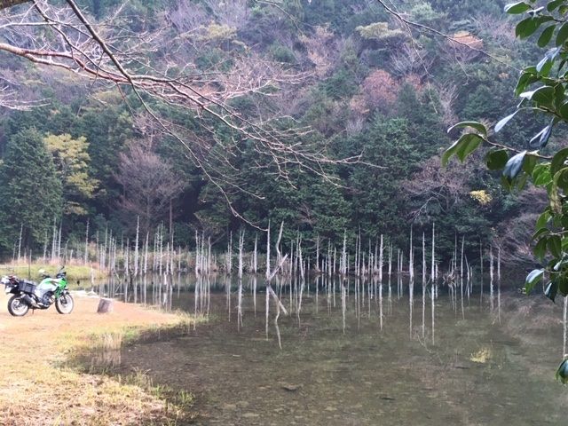 ８８８８ｋｍで一ノ俣桜公園 キャンプ道具散財日記 楽天ブログ