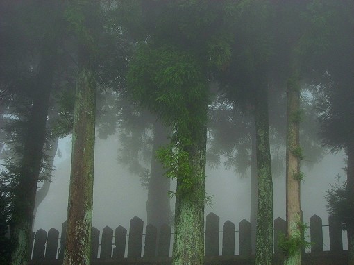 神社の霧1