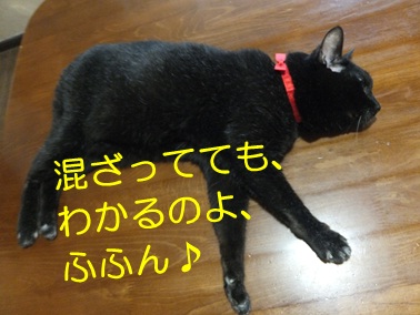 20120905_3.jpg