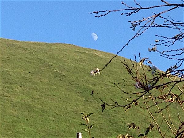 rblog-20141003173823-06.jpg