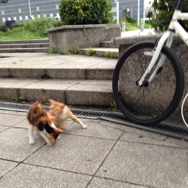 rblog-20130918020226-01.jpg