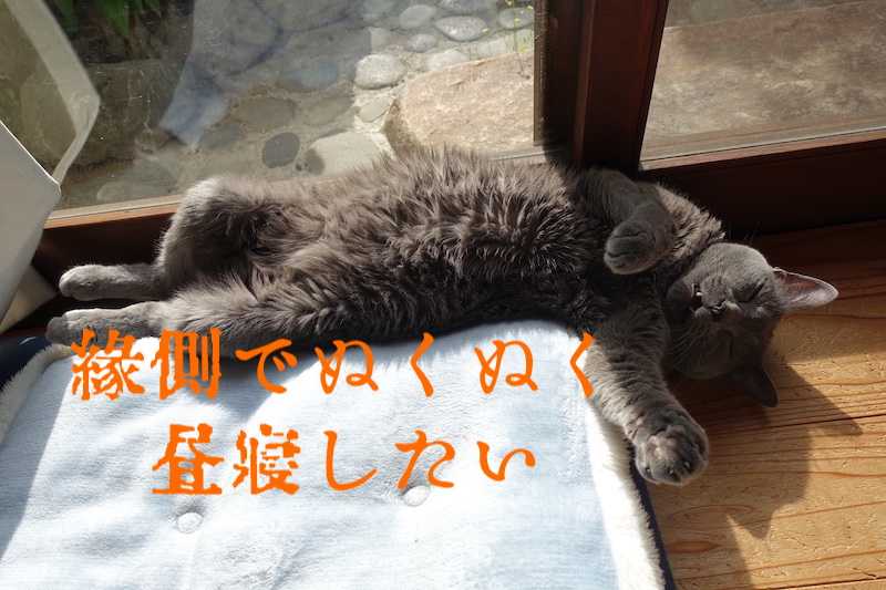 ゆきわたりてむぎのびる 有喜庵 楽天ブログ