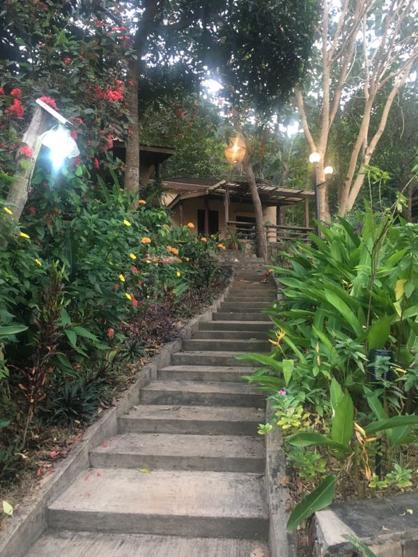 rblog-20190121223451-02.jpg