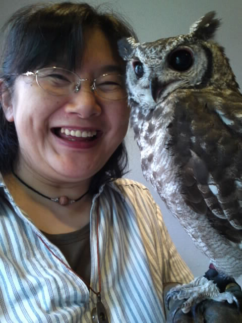 フクロウと私