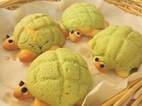 画像 008.jpg s.jpg