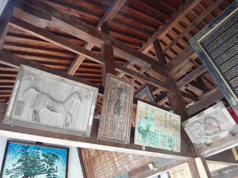DSC08509.JPG