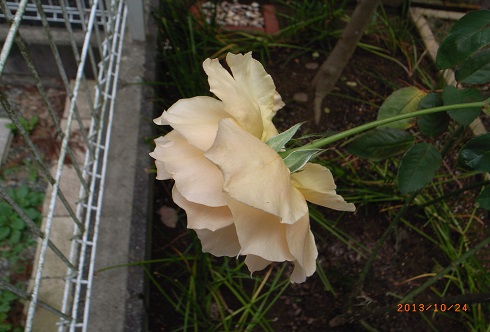 04