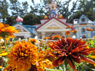 Flower111