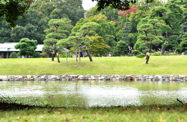 公園４
