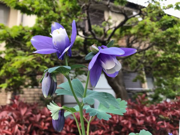 rblog-20190423182339-04.jpg