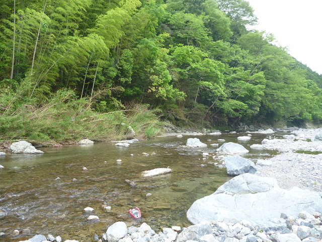 resize0011.jpg
