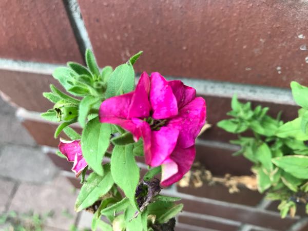 rblog-20180628171900-02.jpg