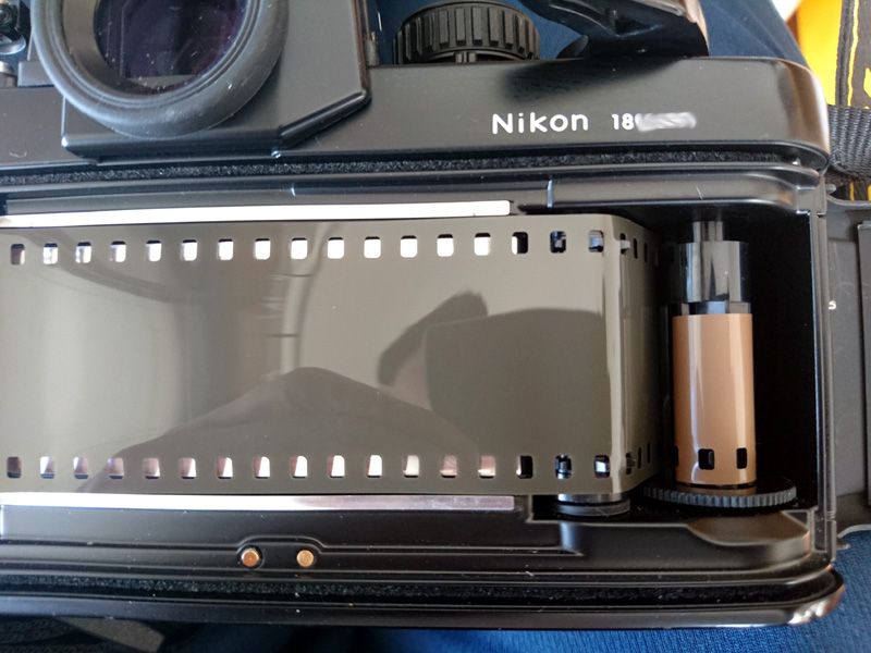 Canon iid （レンジファインダー）のフィルム装填 | ロド丸のブログ