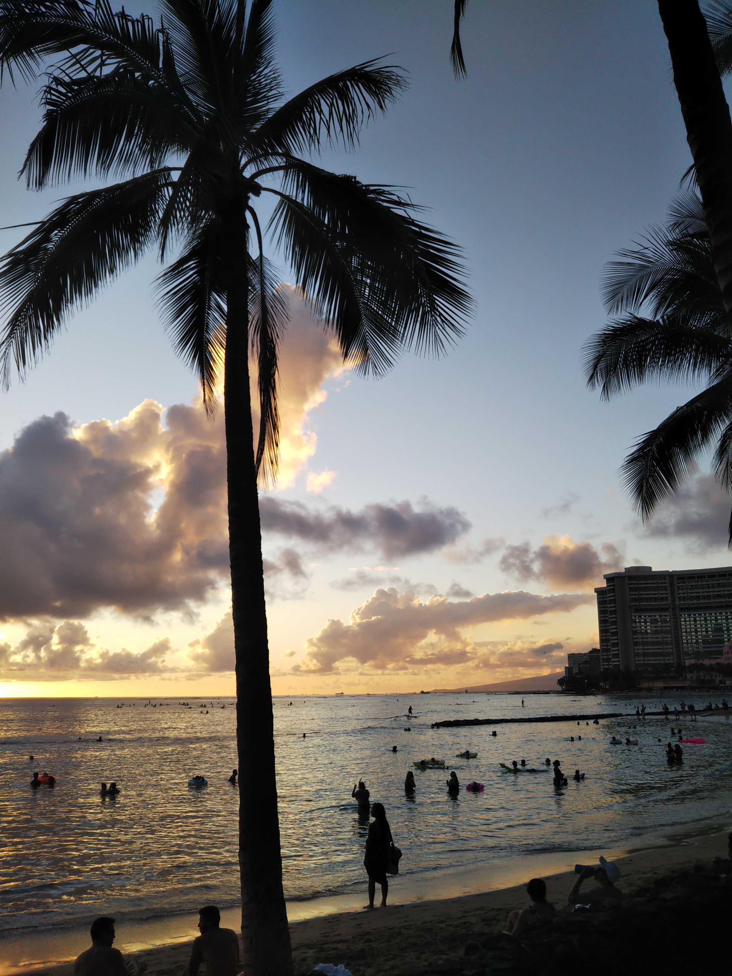 ハワイ旅行レポ15 ハワイ最後の夜ごはんは 毎日おいしい生活 楽天ブログ ハワイ旅行レポ15 ハワイ最後の夜ごはんは 毎日おいしい生活 楽天ブログ