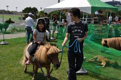 ポニー乗馬