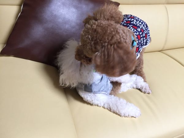 rblog-20150923205846-03.jpg
