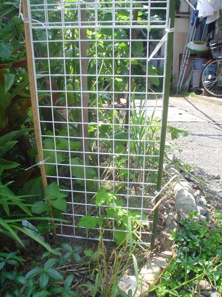 burogu_12_07_10_03.jpg