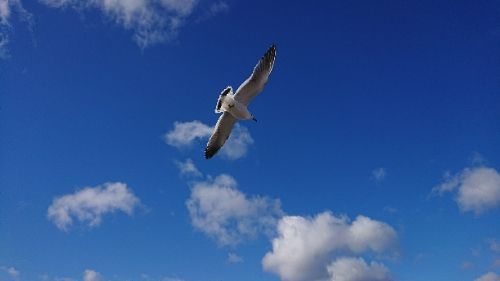 rblog-20171230215012-04.jpg