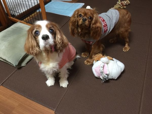 rblog-20151204093300-04.jpg