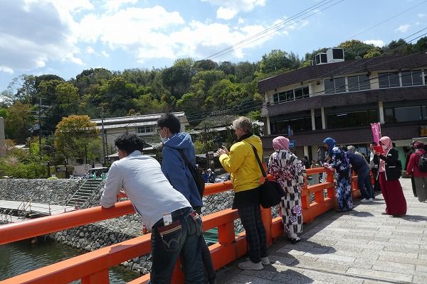 宇治川さくら祭り に行ってきました ぐる り 京のお散歩 楽天ブログ