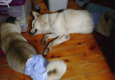 20140827a.jpg