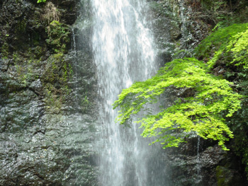 20130430182039.jpg