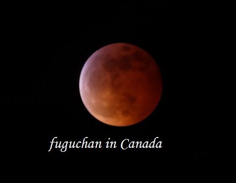 皆既月食the Super Blood Wolf Moon Eclips ラブレターfromcanada 楽天ブログ