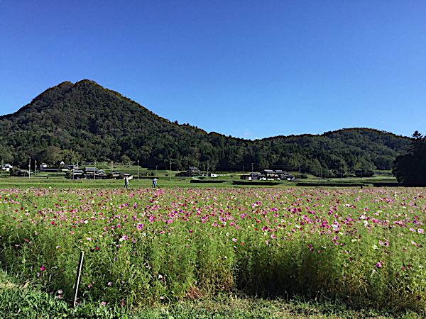 rblog-20181009000534-03.jpg