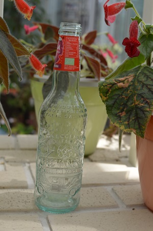 DSC_0045.JPG