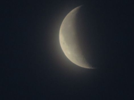 IMG_0156.JPG