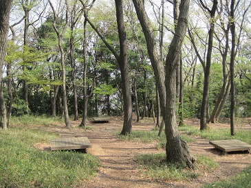 014.JPG