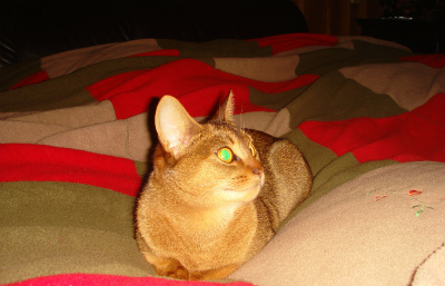 DSC07809.jpg