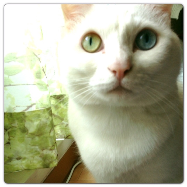 rblog-20130506134911-00.jpg
