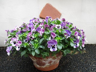 IMG_0823ss.jpg