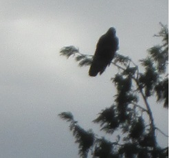 IMG_8842.JPG