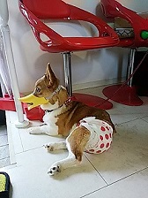 店番.jpg