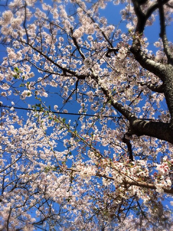 rblog-20140407124904-02.jpg