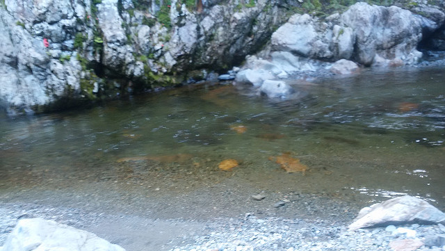 resize0031.jpg