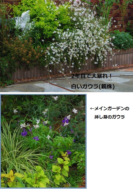 2014_0913_073528-IMGP2551.JPG