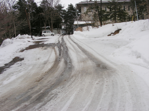 2017-03-16mori (1).JPG