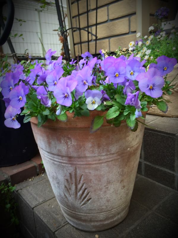 rblog-20160328172826-06.jpg