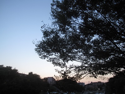 IMG_2508.JPG