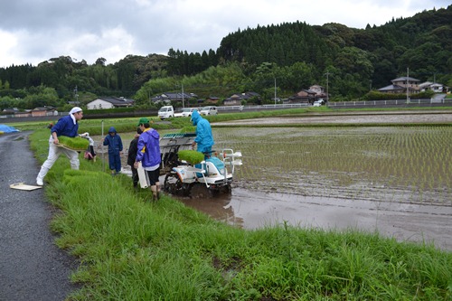 ２０１２田植え４.jpg