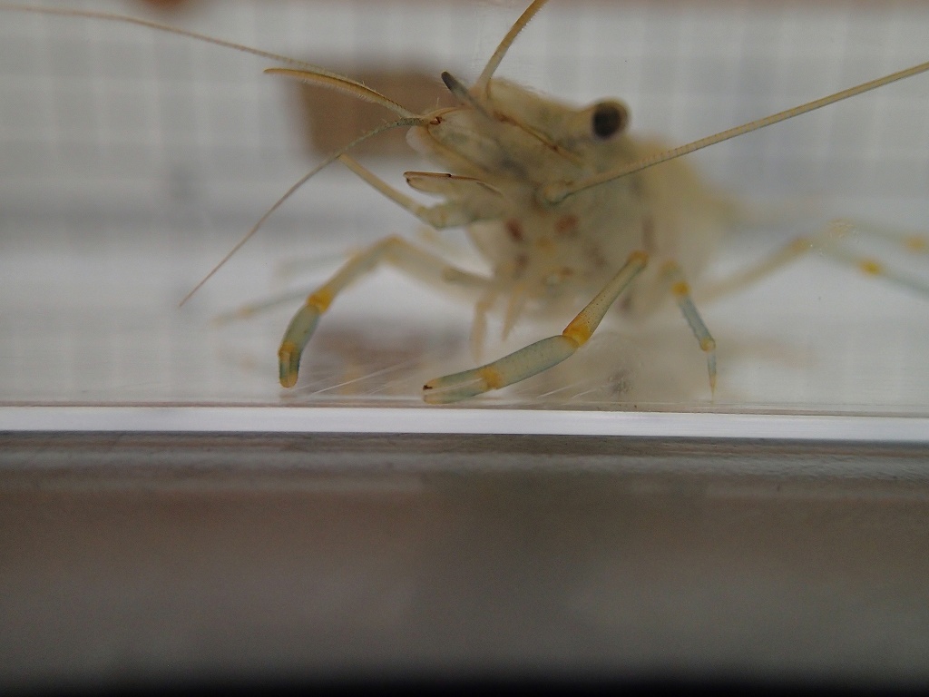 s-PB010001.jpg