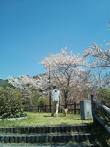 rblog-20180403200843-01.jpg