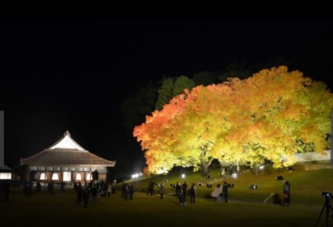 紅葉と国宝 秋の夜に荘厳な輝き 岡山 備前 旧閑谷学校ライトアップ 遊々会グラウンドゴルフ 楽天ブログ
